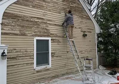 Painting Companies