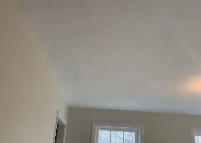 Painting Contractor