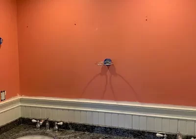 Painting Contractors